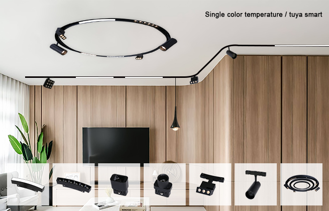48V 20mm Circular magnetic track light
