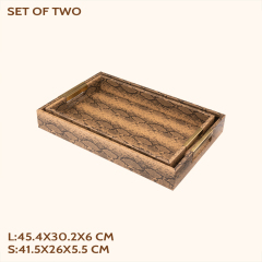 SNAKESKIN GRAIN LEATHER TRAY-TWO PIECE SET