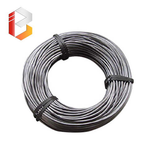 Lead Wire