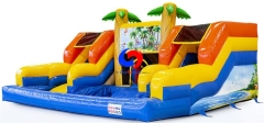 Inflatable water slide with splash pool