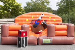 hot sale cheap western mechanical rodeo bull price, inflatable mechanical rodeo bull riding machine for sale