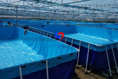 custom drought-resistant water tank Greenhouse water bag mobile swimming pool fish &shrimp breeding pond