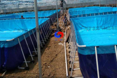 custom drought-resistant water tank Greenhouse water bag mobile swimming pool fish &shrimp breeding pond