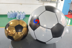 Giant Soccer shiny balls