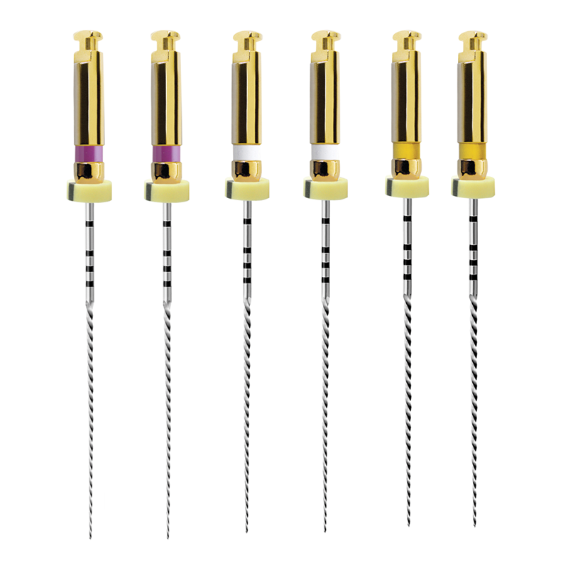 DMXDENT Dental Endo Rotary NITI File X-PATH Treatment Engine Root Canal
