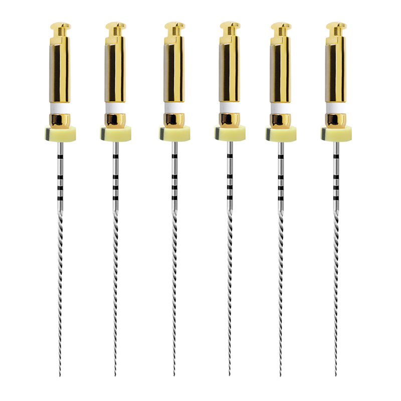 DMXDENT Dental Endo Rotary NITI File X-PATH Treatment Engine Root Canal