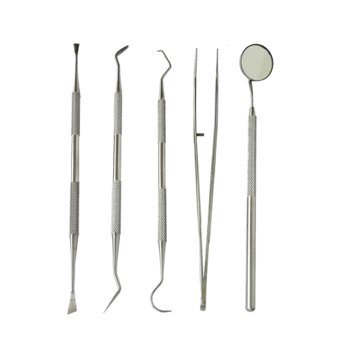 Stainless Steel Dental Cleaning Probe Tweezers Tools