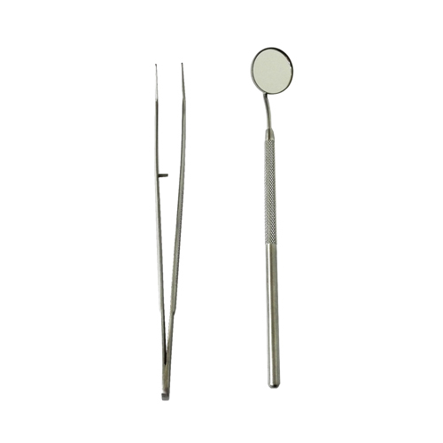 Stainless Steel Dental Cleaning Probe Tweezers Tools