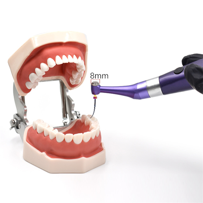 Dental Endo Motor 10 Memory Programs 16:1 Reciprocating Endo Motor Rainbow Color