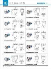 Push Botton metal switch 22MM