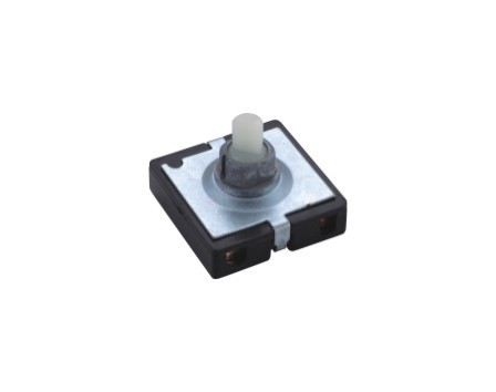 Rotary Switch