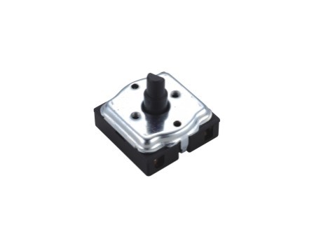 Rotary Switch