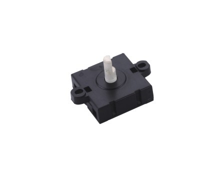Rotary Switch