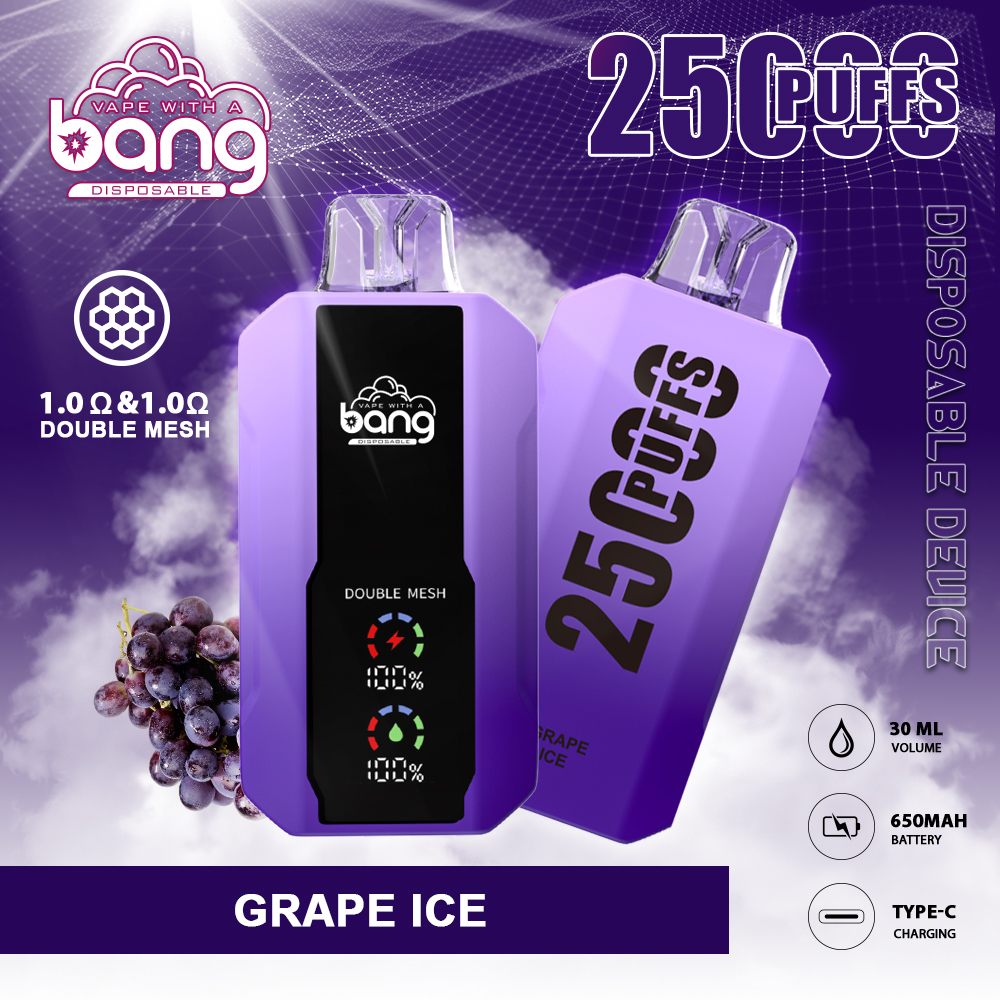 Bang Double Mesh Coil Disposable Vape 25K Puffs (CN Warehouse)