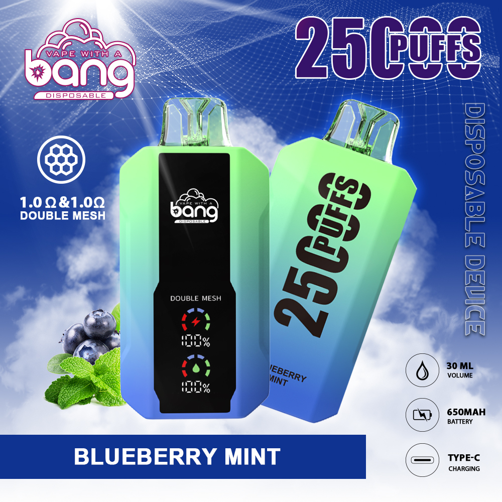 Bang Double Mesh Coil Disposable Vape 25K Puffs (CN Warehouse)