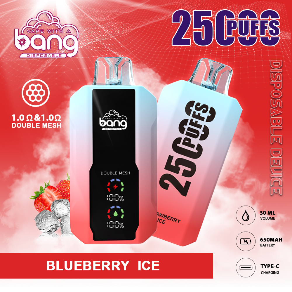 Bang Double Mesh Coil Disposable Vape 25K Puffs (CN Warehouse)