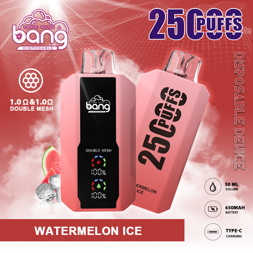 Bang Double Mesh Coil Disposable Vape 25K Puffs (CN Warehouse)