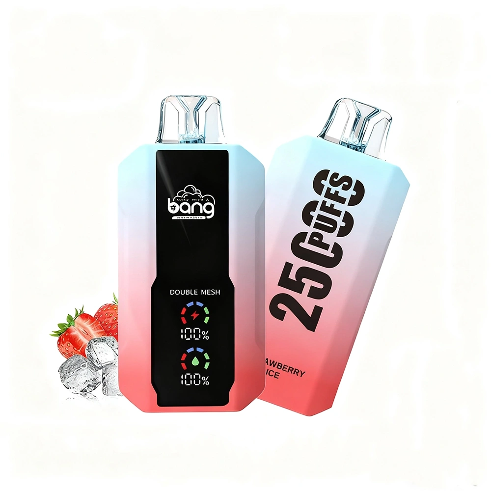 Bang Double Mesh Coil Disposable Vape 25K Puffs (CN Warehouse)