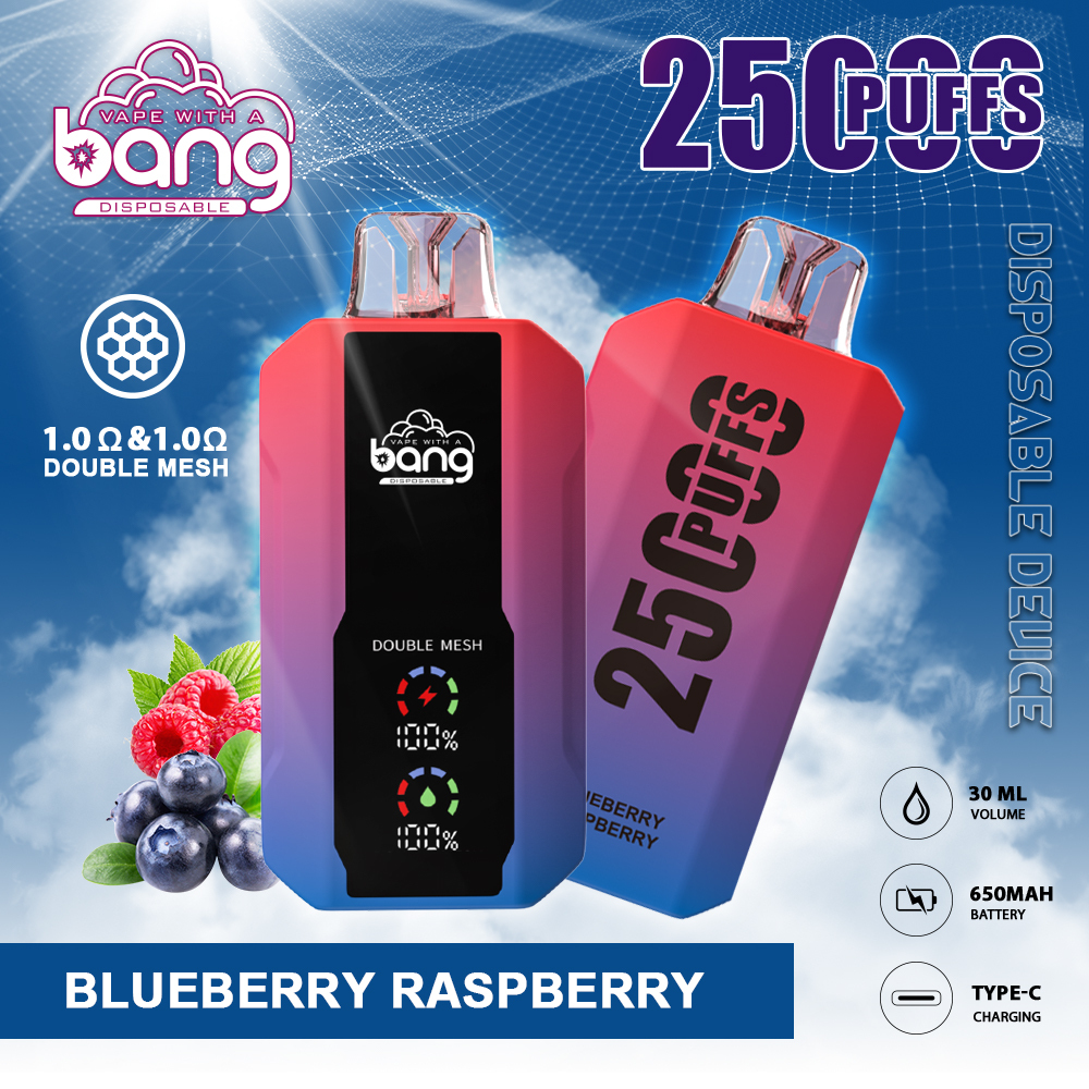 Bang Double Mesh Coil Disposable Vape 25K Puffs (CN Warehouse)