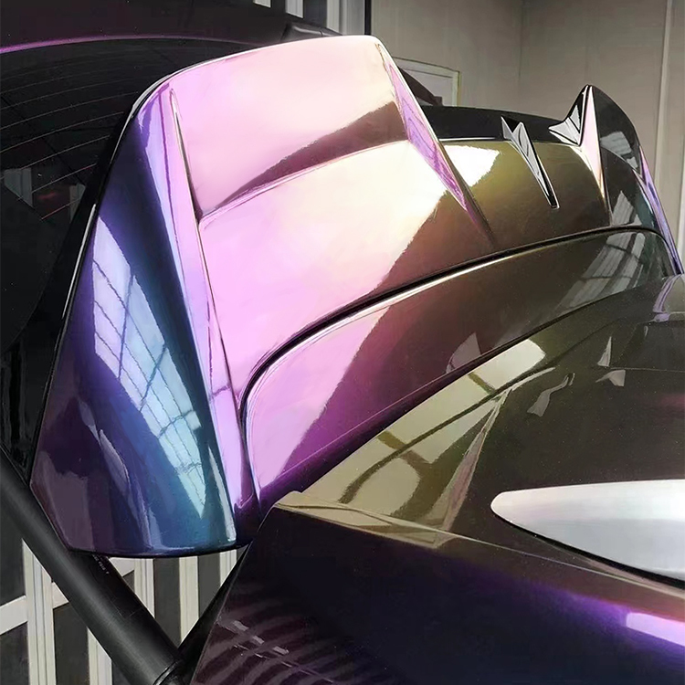 PET Chameleon Dream Galaxy