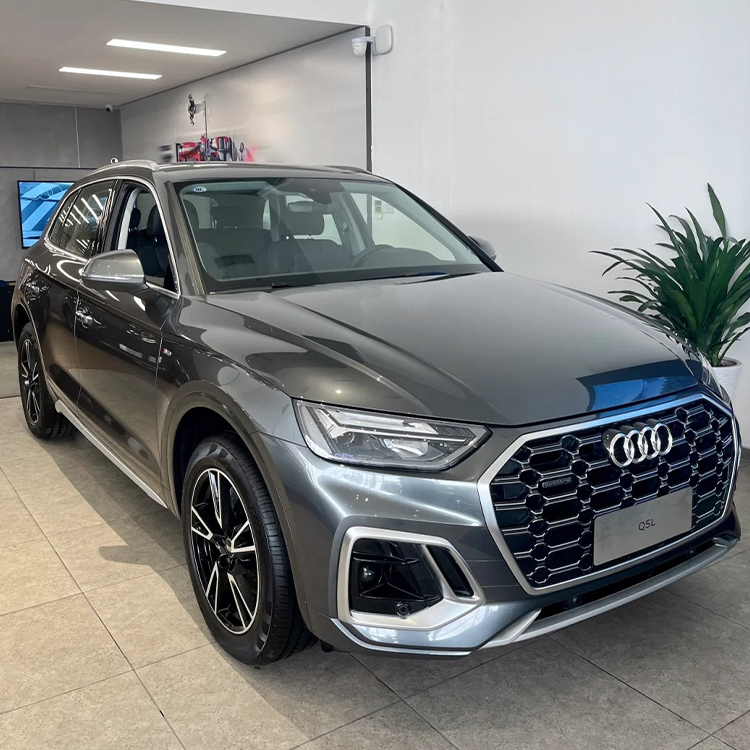 PET SKy Grey(Audi)