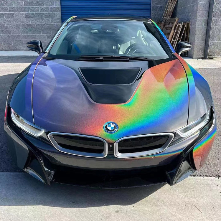 PET Colorful Splendid Gray