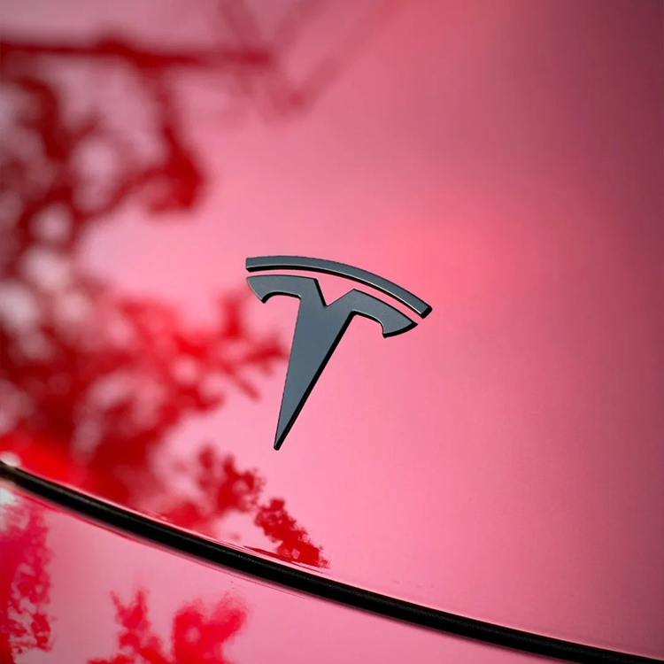 PET Crimson (Tesla)