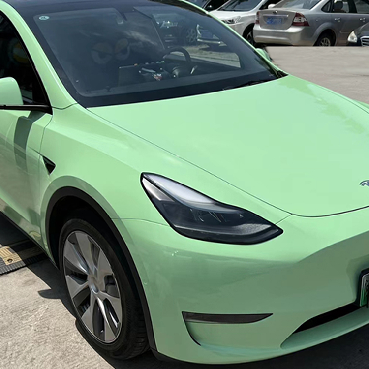 PET Macaron Avocado Green