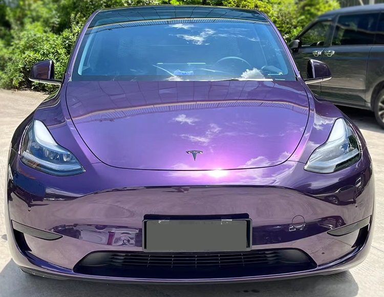 PET Venice Purple (Audi)