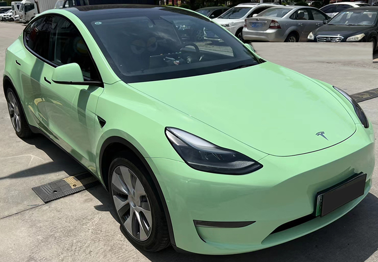 PET Macaron Avocado Green