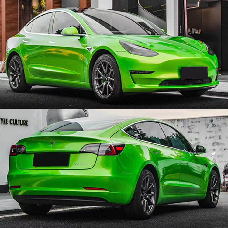 PET Claw Silicon Green (Audi)