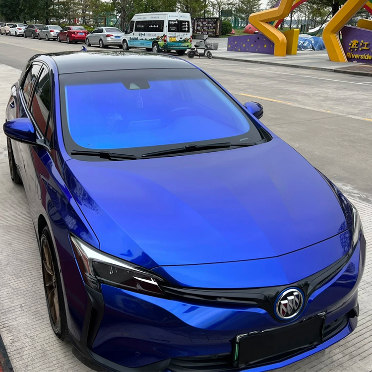 PET Liquid Metal Blueberry