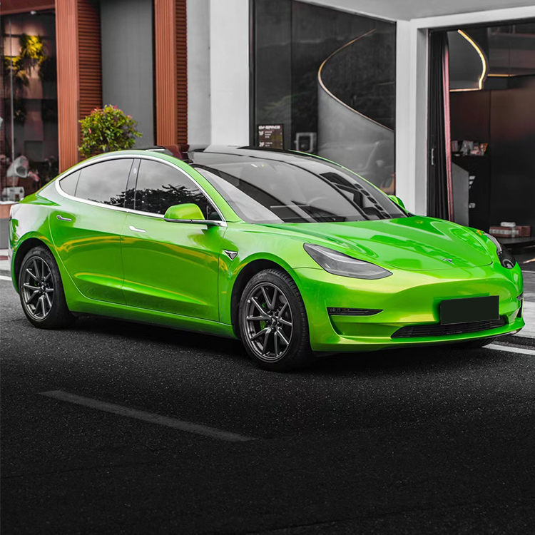 PET Claw Silicon Green (Audi)
