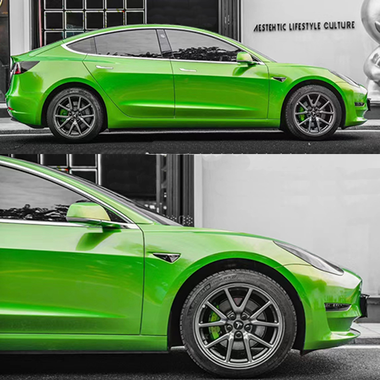 PET Claw Silicon Green (Audi)