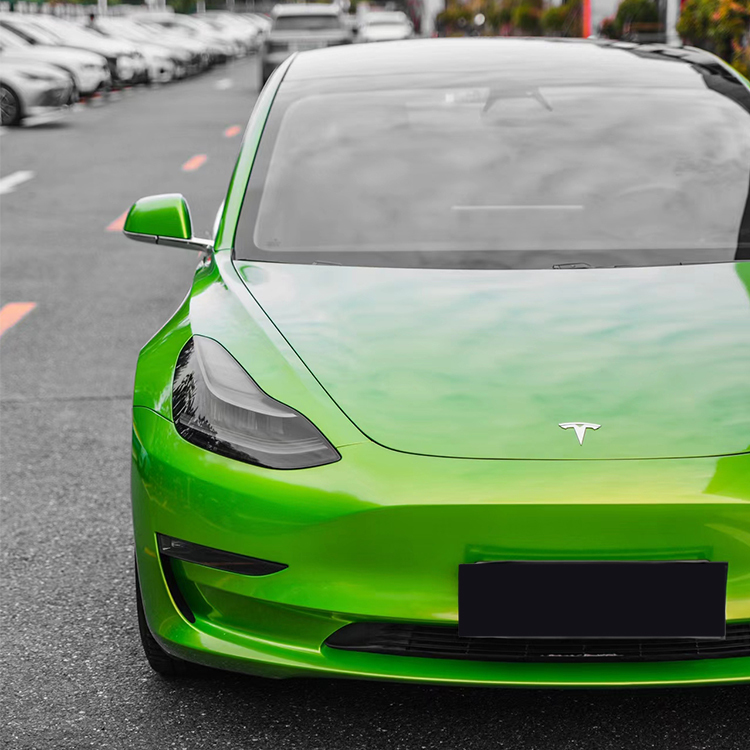 PET Claw Silicon Green (Audi)