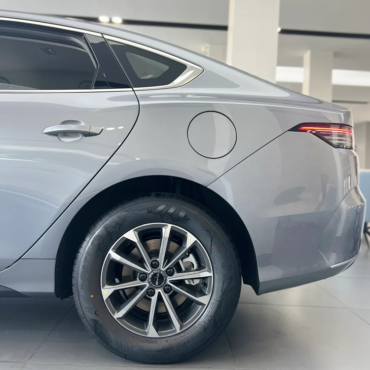PET Time Gray (BYD)