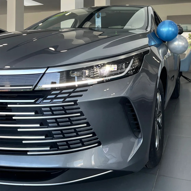 PET Time Gray (BYD)