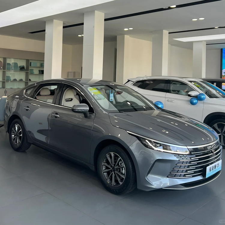 PET Time Gray (BYD)