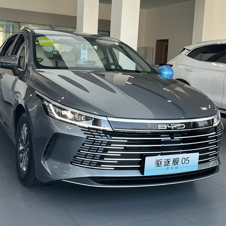 PET Time Gray (BYD)