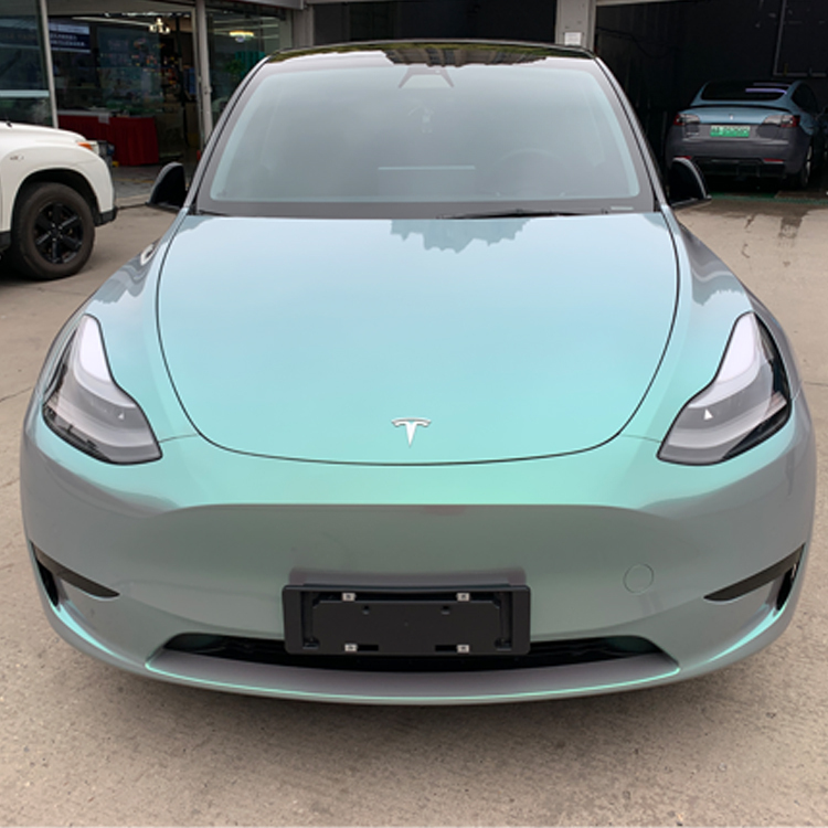 PET Dream Turquoise Green