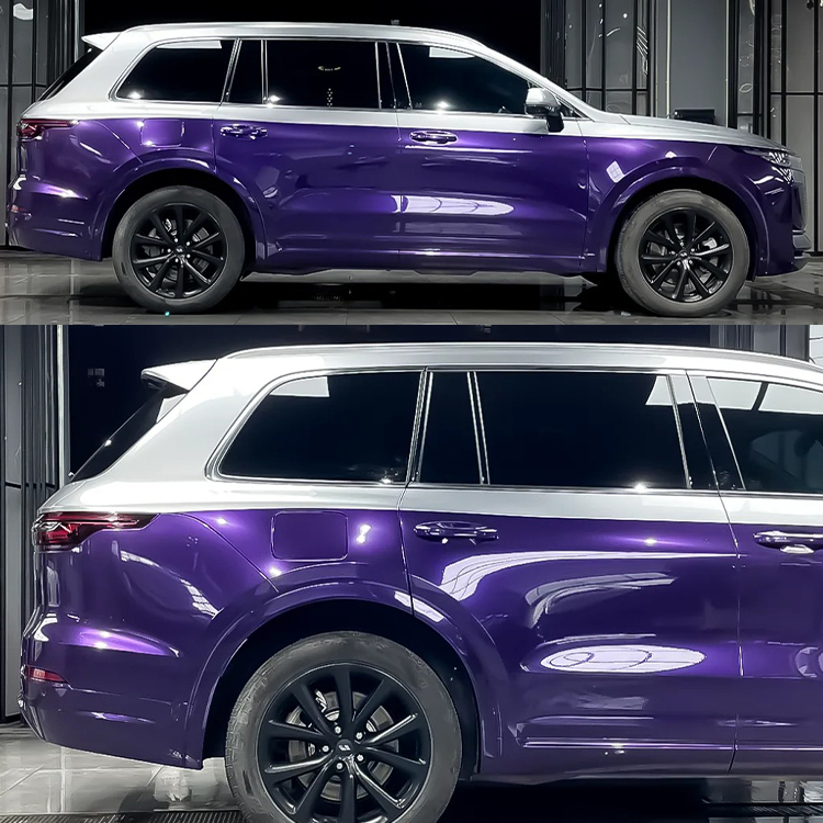 PET Venice Purple + PET GT Silver (Double Colormatching)
