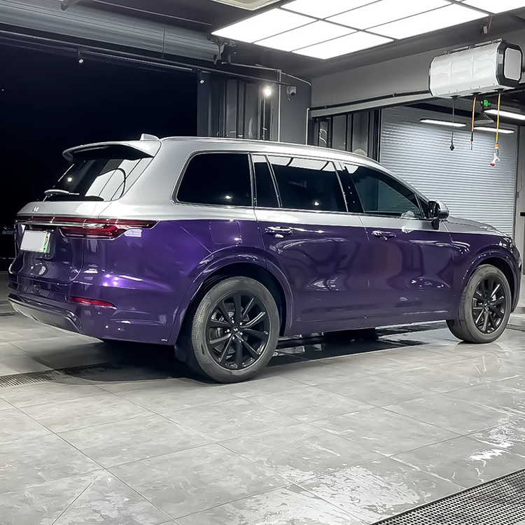 PET Venice Purple + PET GT Silver (Double Colormatching)