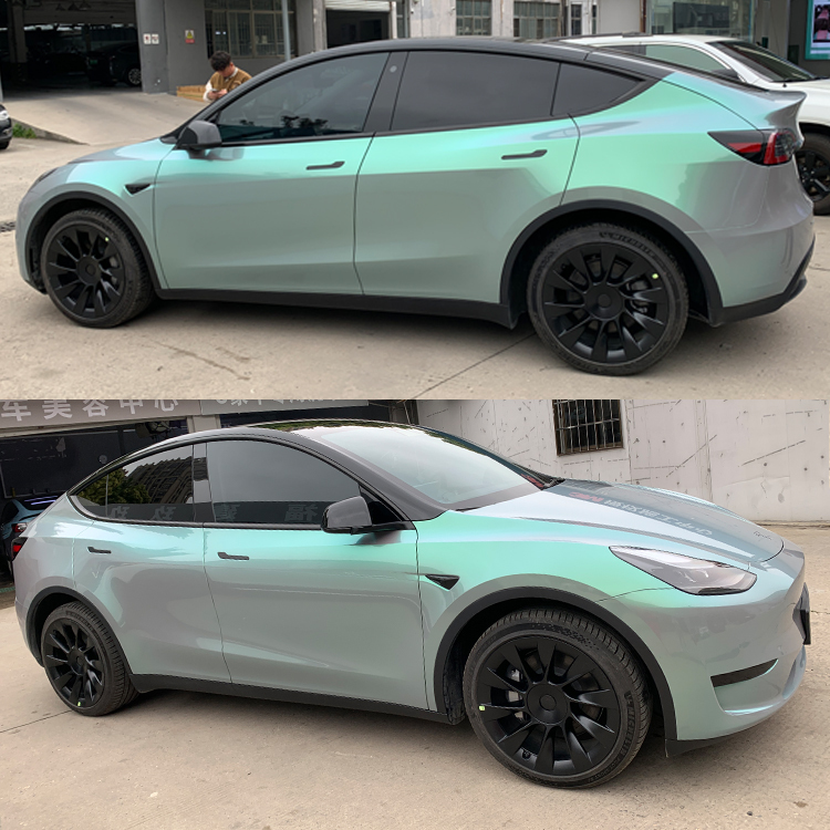 PET Dream Turquoise Green
