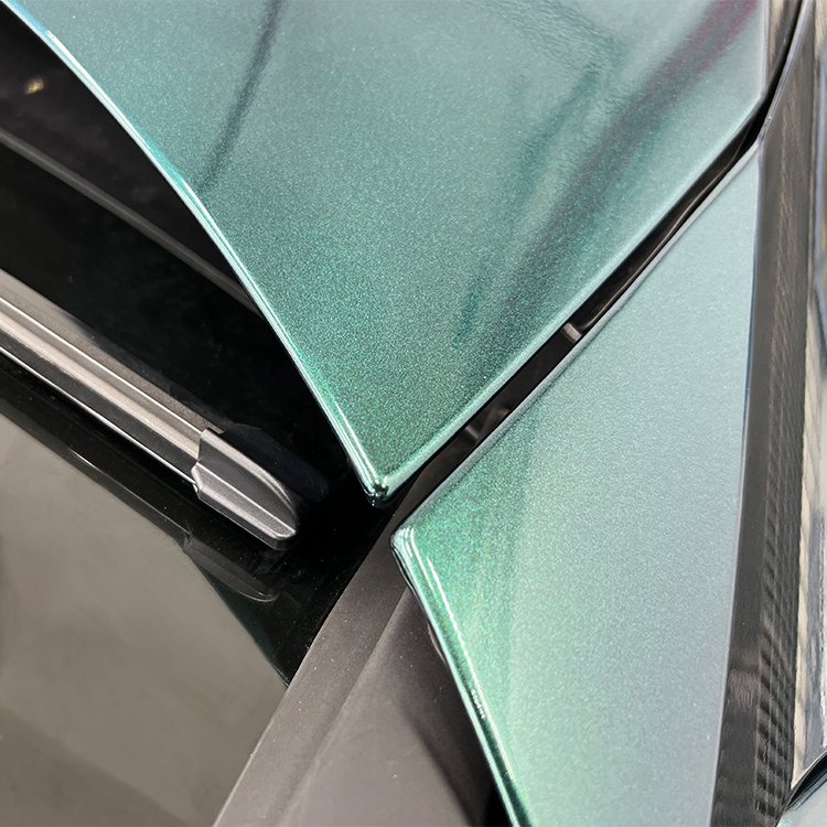 PET Paint Metallic Shadow Green