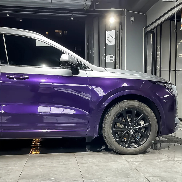 PET Venice Purple + PET GT Silver (Double Colormatching)