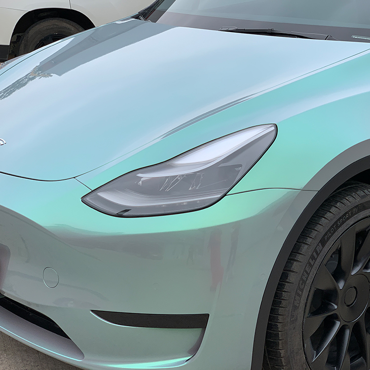 PET Dream Turquoise Green