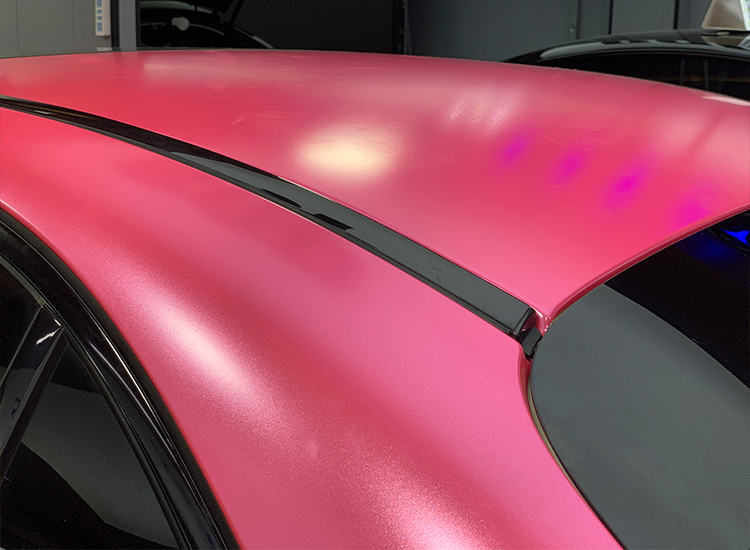PET Electric Princess Pink
