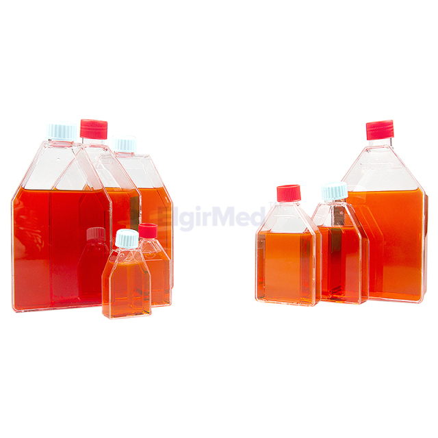 Tissue Culture Flask