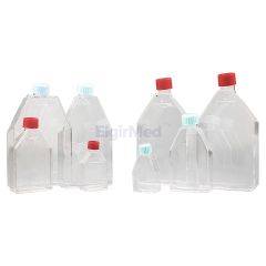 Tissue Culture Flask