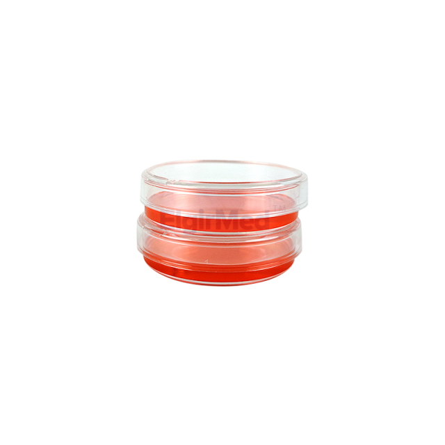 Bacteria Petri Dishes
